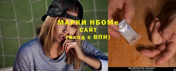 мдпв Богородицк