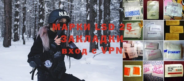 мдпв Богородицк