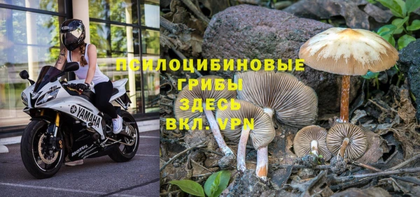 мдпв Богородицк