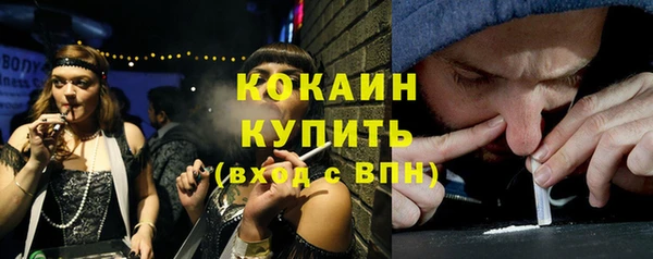 мдпв Богородицк