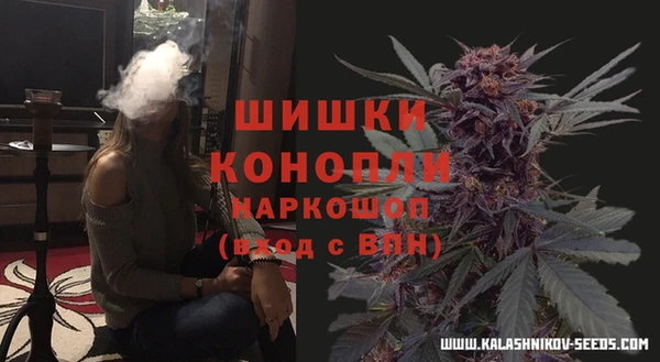 мдпв Богородицк
