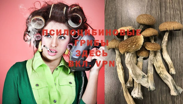 мдпв Богородицк