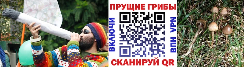 Галлюциногенные грибы MAGIC MUSHROOMS  mega рабочий сайт  Калуга 